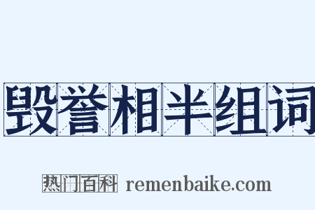 毁誉相半组词是什么意思的图片